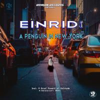 Artwork for A Penguin in New York by EINRIDI