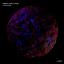 Artwork for Orgasms (Original Mix)