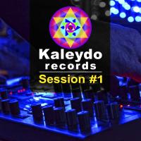 Artwork for Kaleydo Records Session #1 by Various Artists