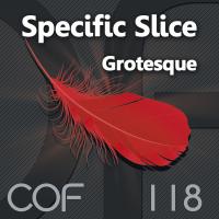 Artwork for Grotesque by Specific Slice