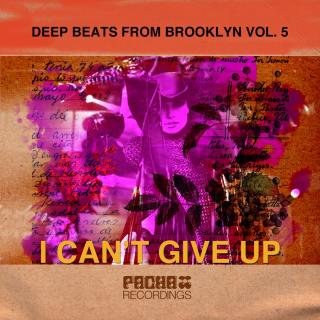 Artwork for I Can't Give Up (Ivan Melnik Instrumental)