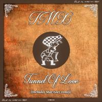 Artwork for Tunnel Of Love by TMX