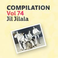 Artwork for Compilation Vol 74 (Music) by Jil Jilala