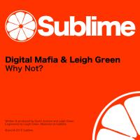 Artwork for Why Not? by Digital Mafia