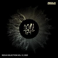 Artwork for Redux Selection Vol. 5 / 2021 by Various Artists