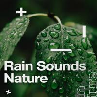 Artwork for Rain Sounds Nature by Nature Sounds Nature Music