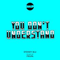 Artwork for You Don't Understand by Sydney Blu