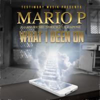 Artwork for What I Been On (feat. Richie 209 Rich & Lil Capone) by Mario P.