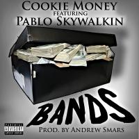 Artwork for Bands by Cookie Money