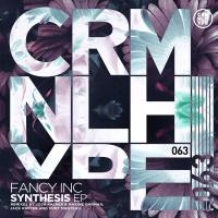 Artwork for Synthesis EP by Fancy Inc