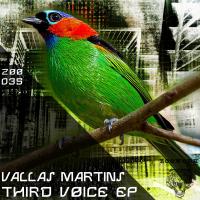 Artwork for Third Voice Ep by Vallas Martins