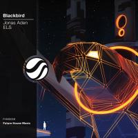 Artwork for Blackbird by Jonas Aden