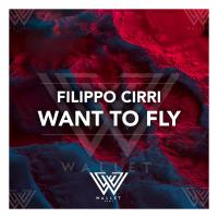 Artwork for Want To Fly by Filippo Cirri