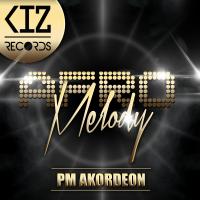 Artwork for Afro Melody by PM Akordeon