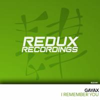 Artwork for I Remember You by Gayax