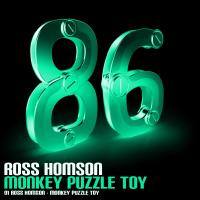 Artwork for Monkey Puzzle Toy by Ross Homson