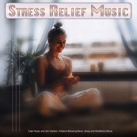 Artwork for Stress Relief Music: Calm Music and Zen Garden, Ambient Relaxing Music, Sleep and Meditation Music by Relaxing Music For Stress Relief