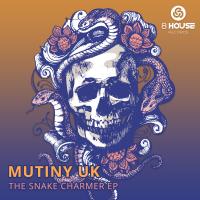 Artwork for The Snake Charmer by Mutiny UK