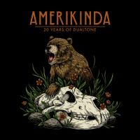 Artwork for Amerikinda: 20 Years of Dualtone by Various Artists