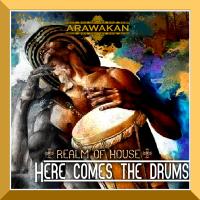 Artwork for Here Comes The Drums by Realm of House