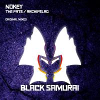 Artwork for The Fall / Archipelag by Nokey