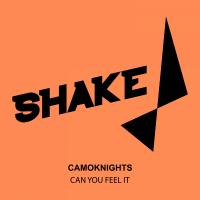 Artwork for Can You Feel It by Camoknights