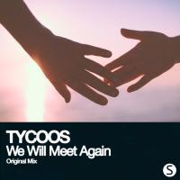 Artwork for We Will Meet Again by Tycoos