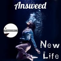 Artwork for New Life by Answeed