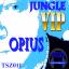 Artwork for Jungle VIP (Original Mix)