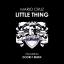 Artwork for Little Thing (Original Mix)