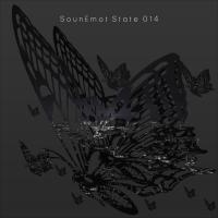 Artwork for Sounemot State 014 by SounEmot State (Dj)