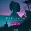 Artwork for Feelings (LOWERDIE Remix)
