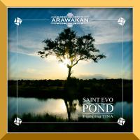 Artwork for Pond by Saint Evo