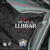 Artwork for NO VOY A LLORAR by Jay Ef