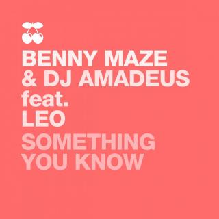 Artwork for Something You Know (Dean Coleman Mix)