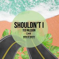 Artwork for Shouldn't I by Ted Nilsson