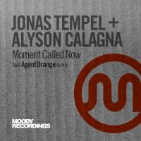 Artwork for Moment Called Now by Jonas Tempel