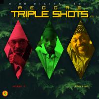 Artwork for Reggae Triple Shots, Vol. 1 by Anthony B