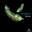 Artwork for Illusions (Original Mix)