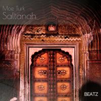 Artwork for Saltanah by Moe Turk