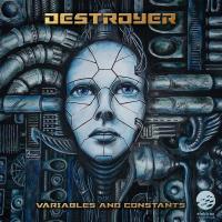 Artwork for Variables & Constants by Destroyer