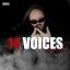 Artwork for 14 Voices