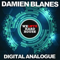 Artwork for Digital Analogue by Damien Blanes