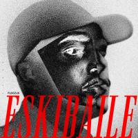 Artwork for Eskibaile by Fleezus