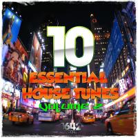 Artwork for 10 Essential House Tunes, Vol. 2 by Various Artists