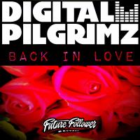 Artwork for Back In Love by Digital Pilgrimz