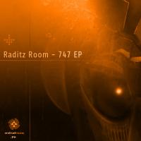 Artwork for 747 by Raditz Room