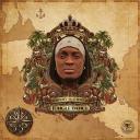 Artwork for Jungle Dance (Original Mix)