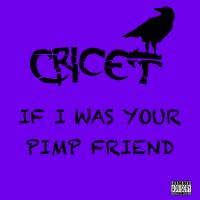 Artwork for If I Was Your Pimp Friend by Cricet