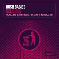 Artwork for Delicious by Bush Babies